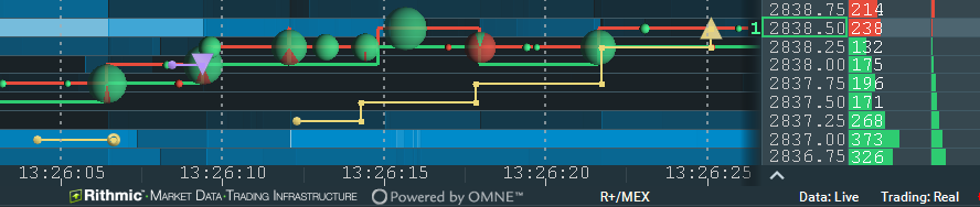 Exported Order Data Example screenshot